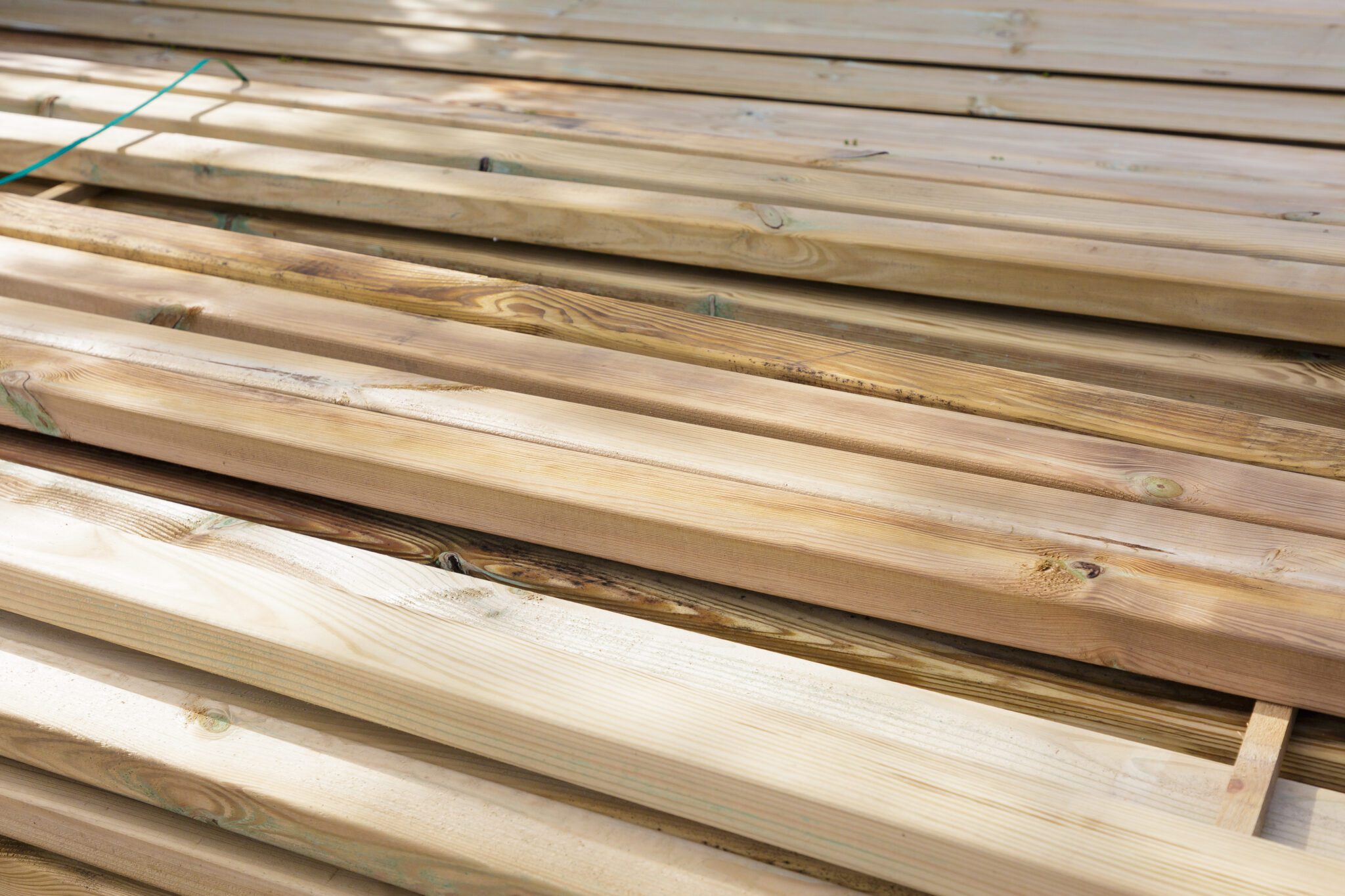 Meuleman.SvdW.250611-5785