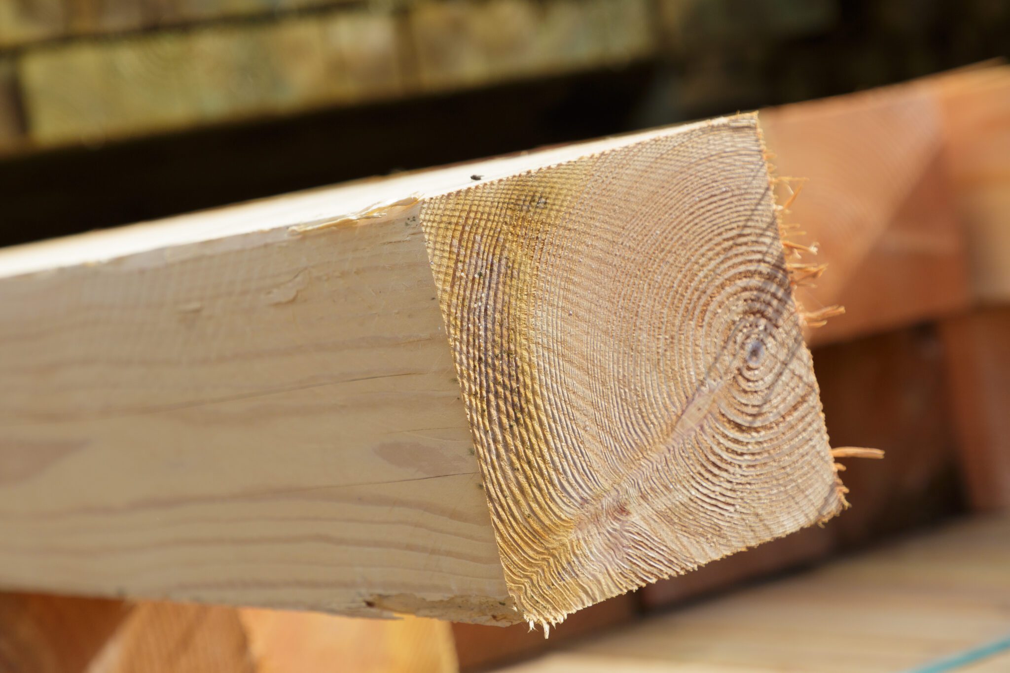 Meuleman.SvdW.250611-5788