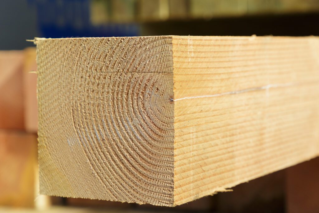 Meuleman.SvdW.250611-5789